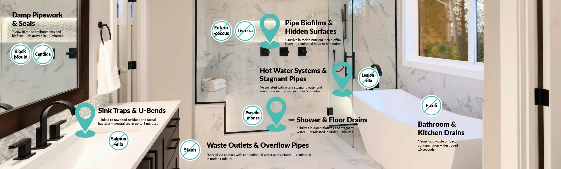 disinfect hidden germs in drains